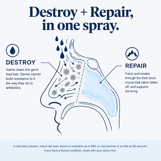 Destroy and repair in one spray, the Mara mechanism