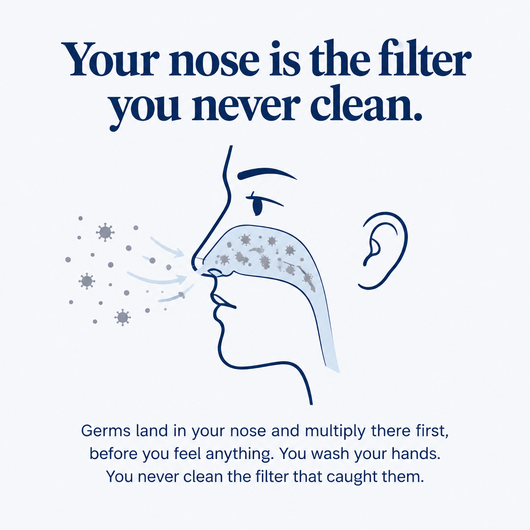 Your nose is the filter you never clean